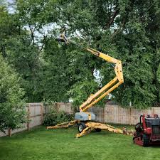 Best Aeration Services  in Woodlands, CA