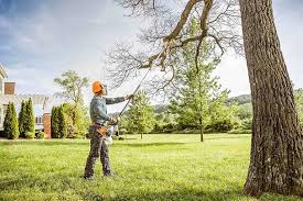 Best Weed Control  in Woodlands, CA